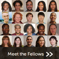 The Fellows have a wide variety of backgrounds and interests. But they share a passion for research.