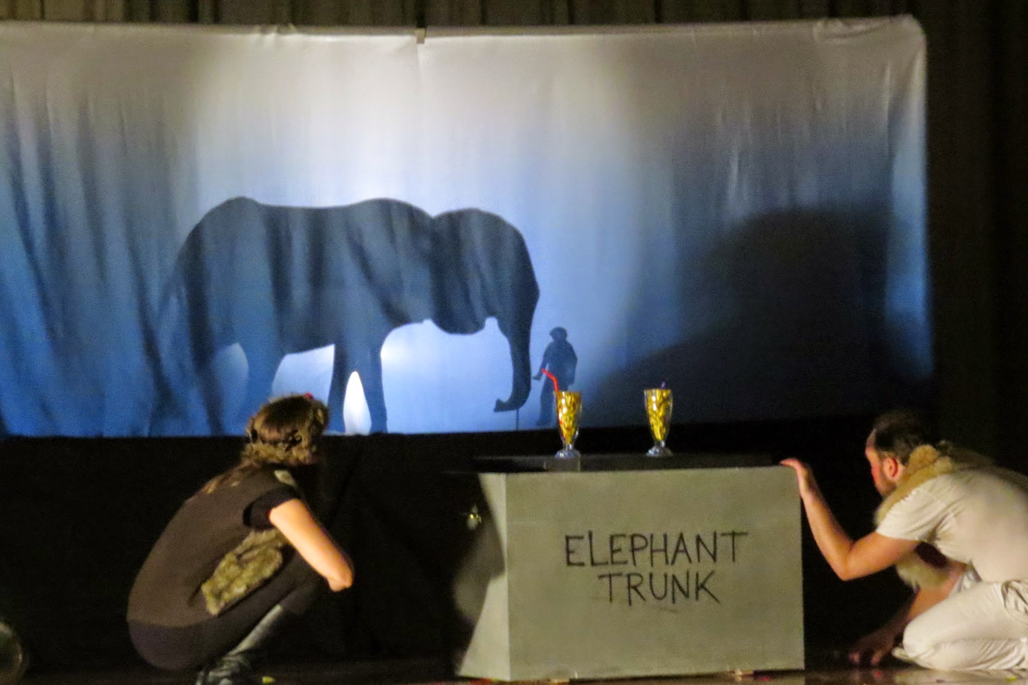 Picture of elephant shadow on stage
