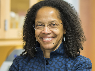 Gilda A. Barabino, dean of The City College of New York’s Grove School of Engineering Gilda A. Barabino, dean of The City College of New York’s Grove School of Engineering