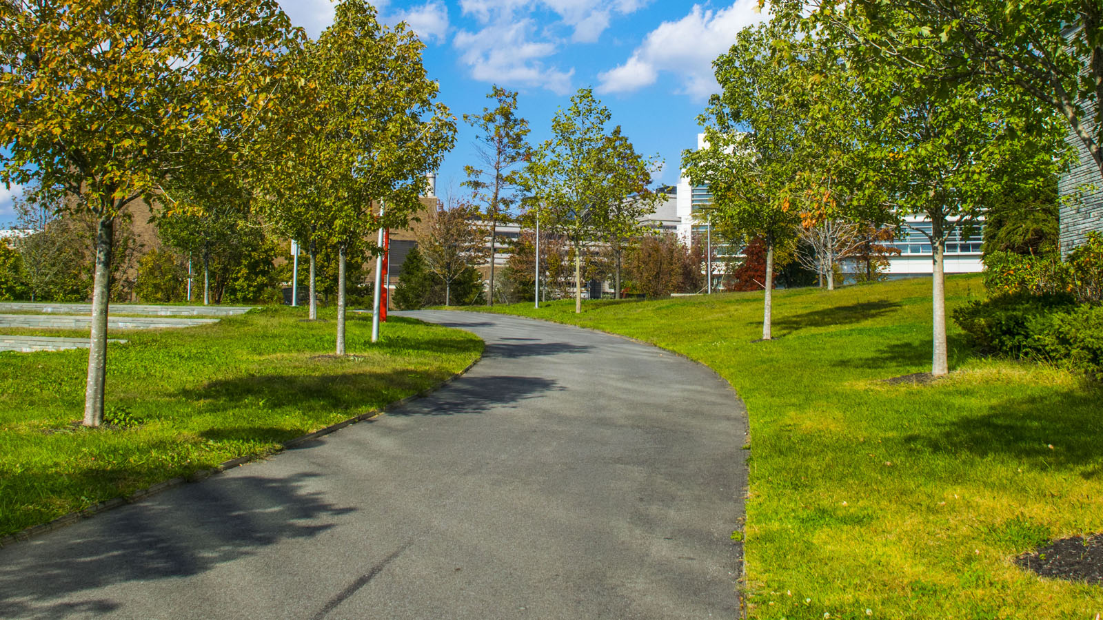Campus green trees