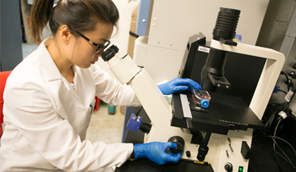Student using microscope 