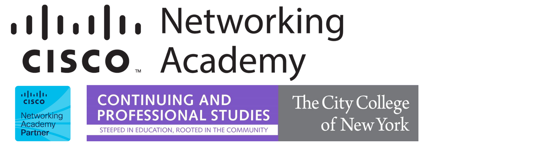 ccny cyber security courses