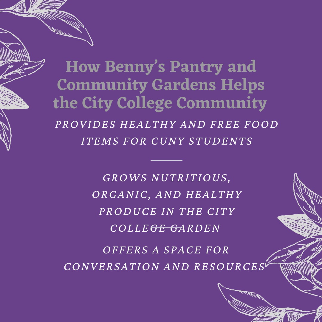 How benny's pantry and community gardens helps CCNY community