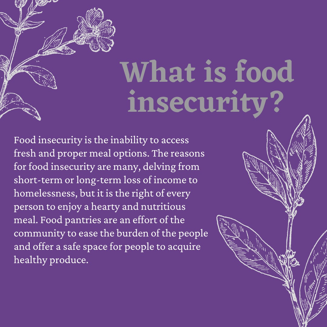 What is food insecurity