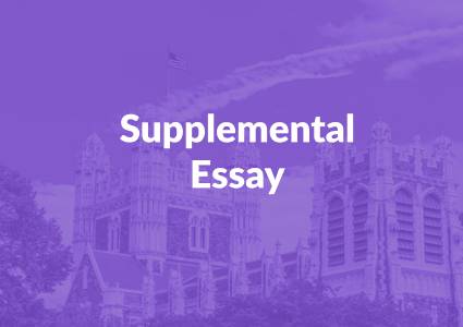 Supplemental Essay
