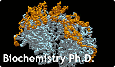 Biochemistry Ph.D. header image