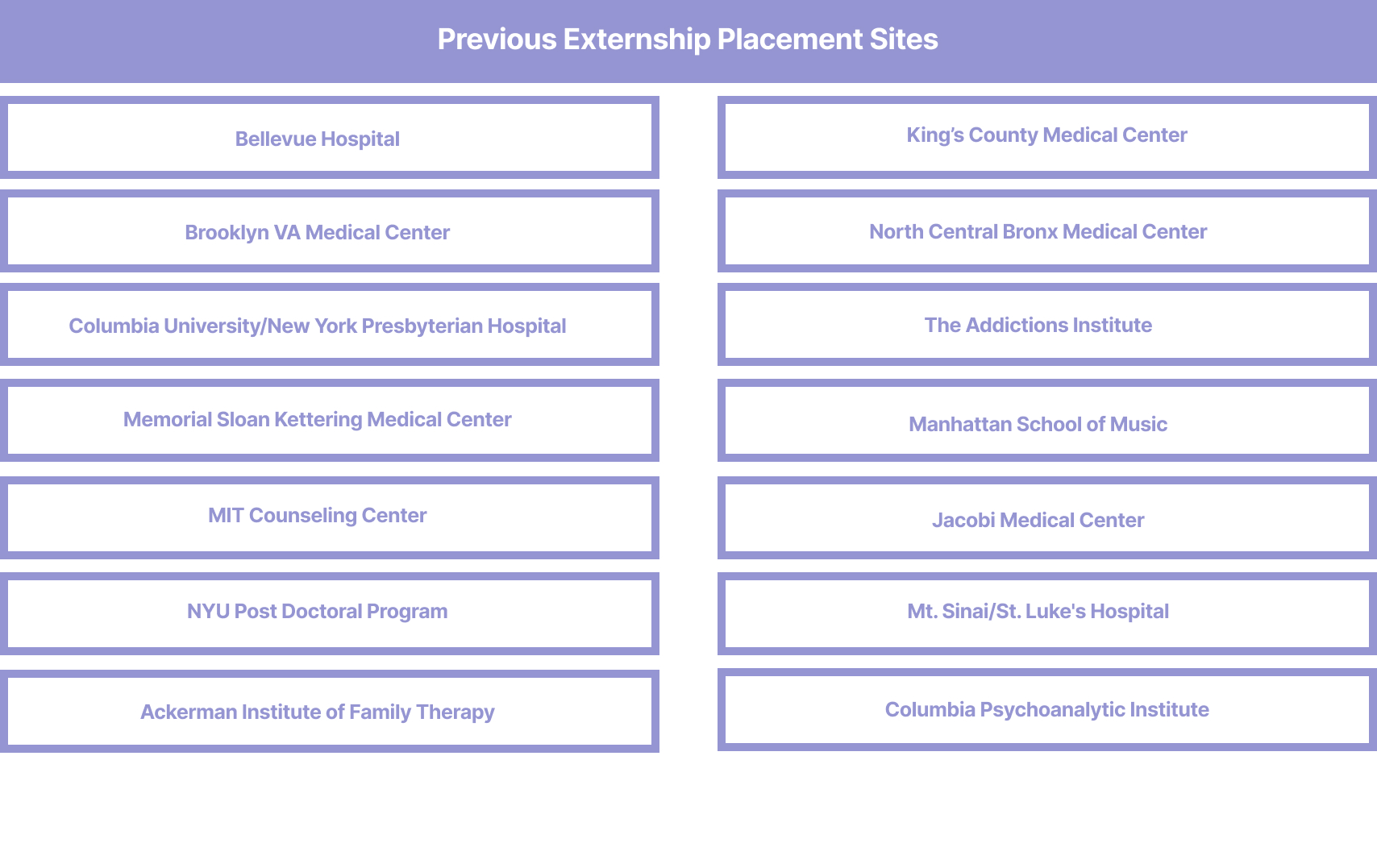 Previous Externship Placement Sites: King’s County Medical Center, Brooklyn VA Medical Center, Columbia University/New York Presbyterian Hospital, Memorial Sloane Kettering Medical Center, MIT Counseling Center, NYU Post Doctoral Program, Ackerman Institute of Family Therapy, Bellevue Hospital, North Central Bronx Medical Center, The Addictions Institute, Manhattan School of Music, Jacobi Medical Center, Mt. Sinai/St. Luke's Hospital, Columbia Psychoanalytic Institute