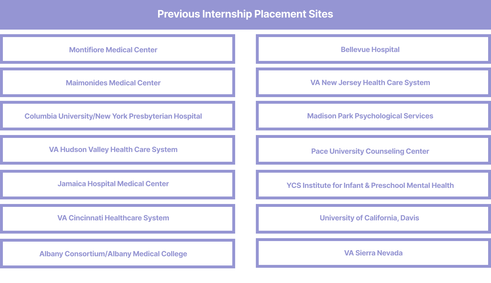 Previous Internship Placement Sites: Montefiore Medical Center, Maimonides Medical Center, Columbia University/New York Presbyterian Hospital, VA Hudson Valley Health Care System, Jamaica Hospital Medical Center, VA Cincinnati Healthcare System, Albany Consortium/Albany Medical College, Bellevue Hospital, VA New Jersey Healthcare System, Madison Park Psychological Services, Pace University Counseling Center, YCS Institute for Infant & Preschool Mental Health, University of California, Davis, VA Sierra Nevad