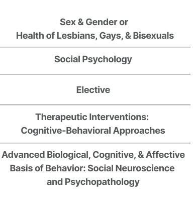 Sex and Gender or LGBT Health, Social Psychology, Electives, Cognitive Behavioral Therapy, Advanced Cognitive, Biological, and Affective Basis of Behavior: Social Neuroscience and Psychopathology