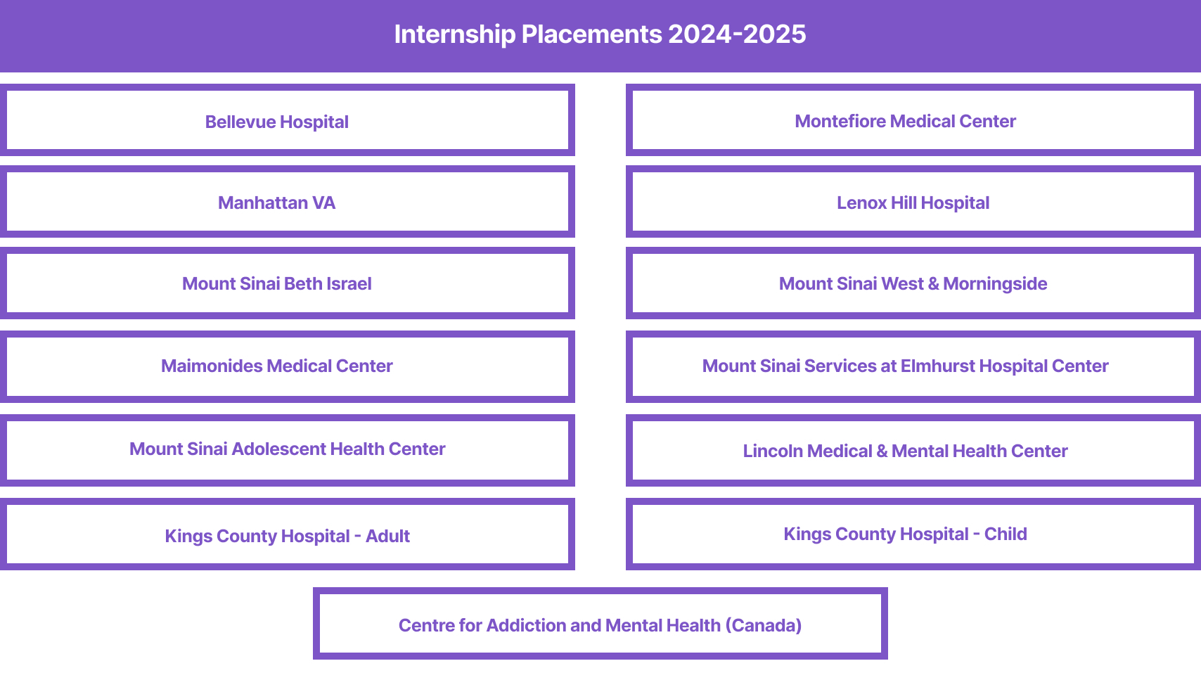 Internship Placements 2024-2025: Bellevue Hospital, Manhattan VA, Mount Sinai Beth Israel, Montefiore Medical Center, Lenox Hill Hospital, Mount Sinai-Elmhurst Hospital, Maimonides Medical Center, Lincoln Hospital, Kings County Hospital Child & Adult,  Mt Sinai Adolescent; Centre for Addiction and Mental Health