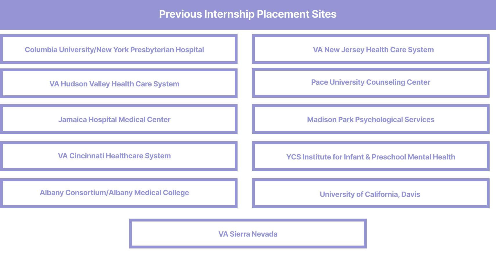 Previous Internship Placement Sites: Montefiore Medical Center, Maimonides Medical Center, Columbia University/New York Presbyterian Hospital, VA Hudson Valley Health Care System, Jamaica Hospital Medical Center, VA Cincinnati Healthcare System, Albany Consortium/Albany Medical College, Bellevue Hospital, VA New Jersey Healthcare System, Madison Park Psychological Services, Pace University Counseling Center, YCS Institute for Infant & Preschool Mental Health, UC, Davis, VA Sierra Nevada