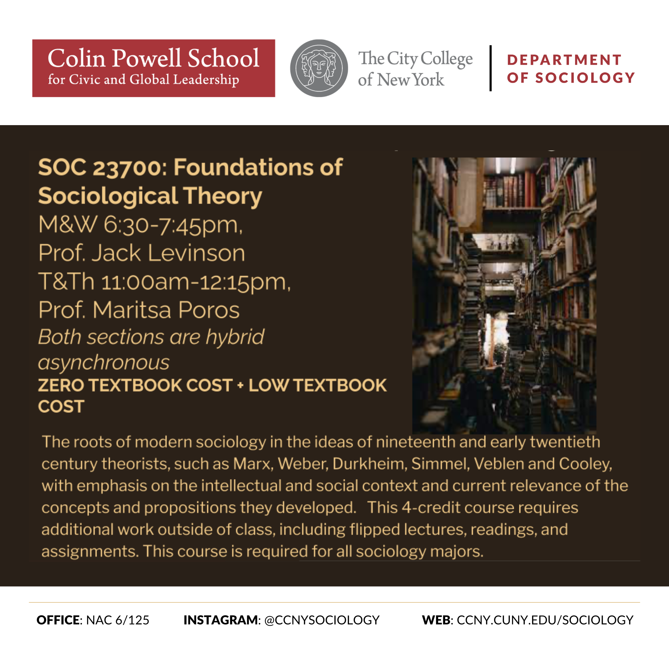 Foundations of Sociological Theory