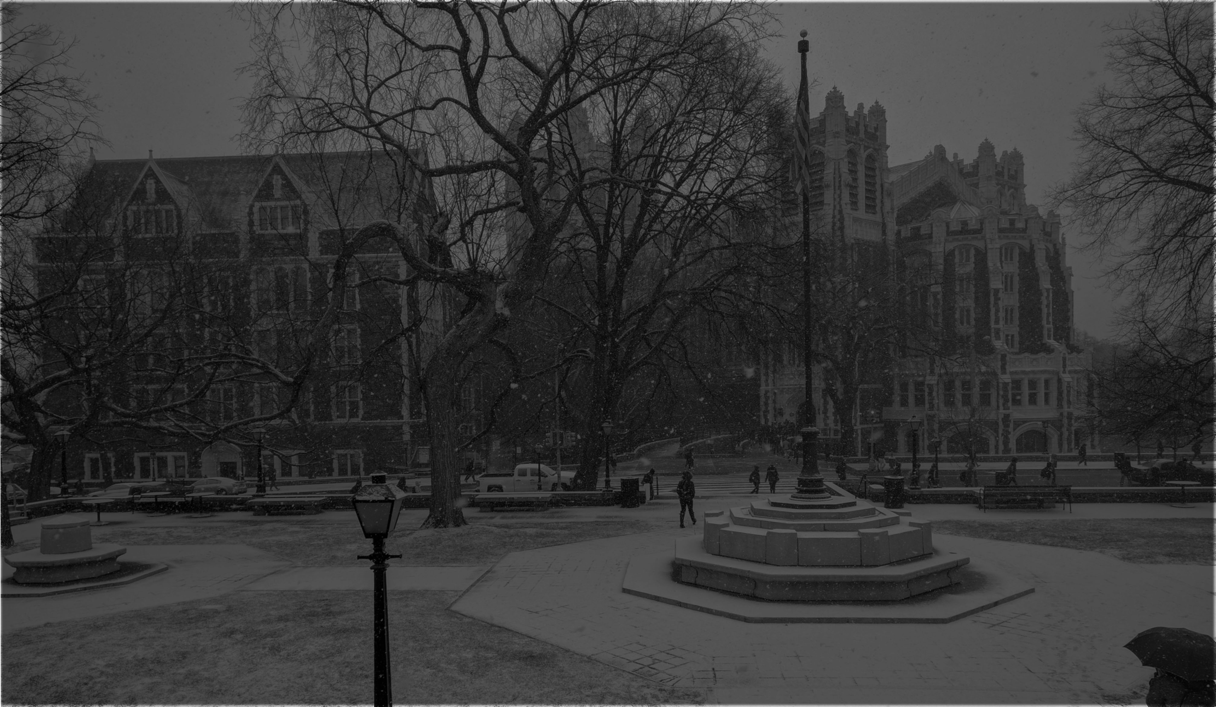 2025 CCNY snow