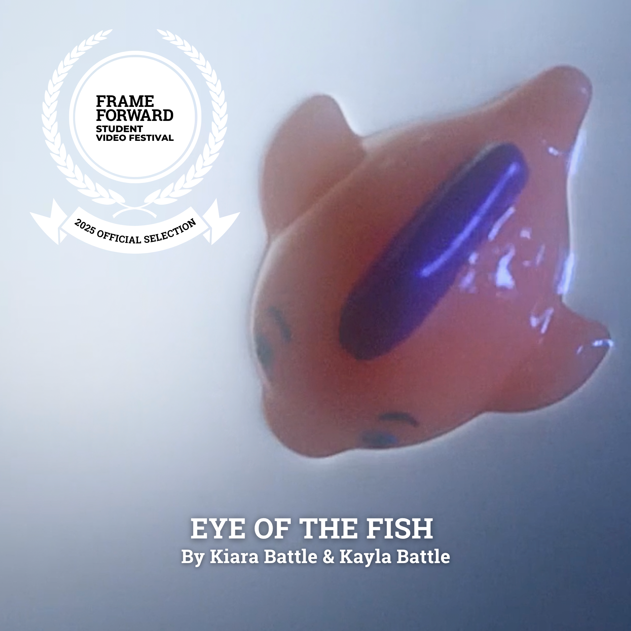 Eye of the Fish