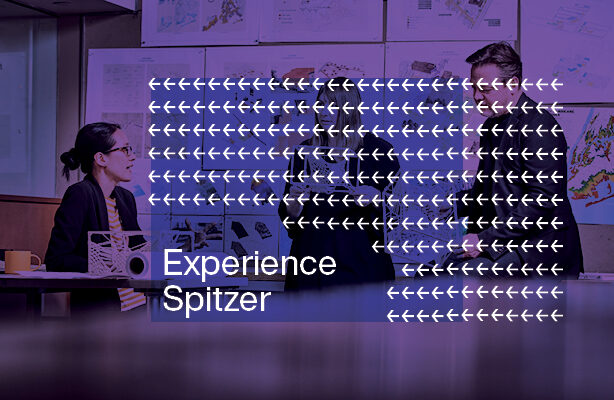 Experience Spitzer graphic