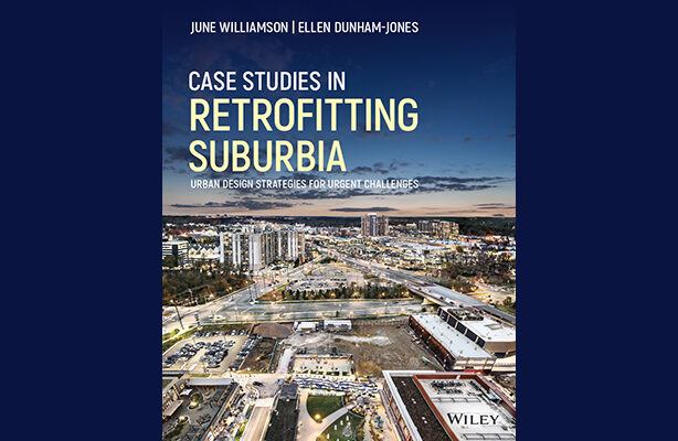 Book cover of June Williamson's 