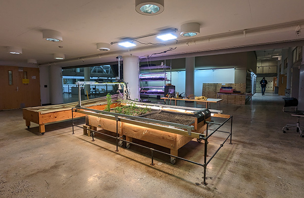 Elua Indoor