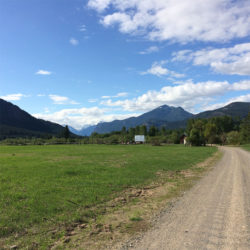 Image of a field