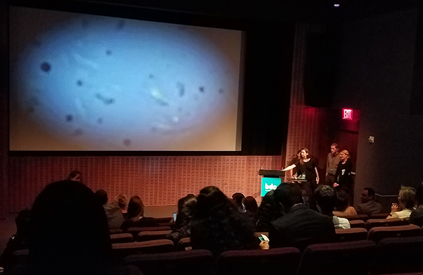 Biodesign Moma