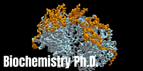 Biochemistry Ph.D.