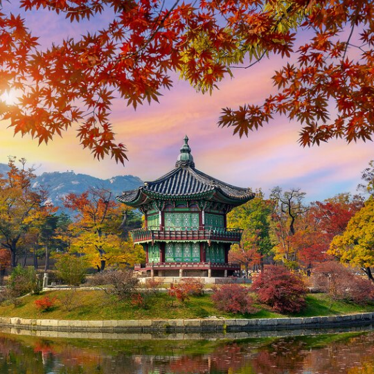 Study Abroad - South Korea - Seoul