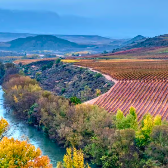 Study Abroad - Spain - La Rioja