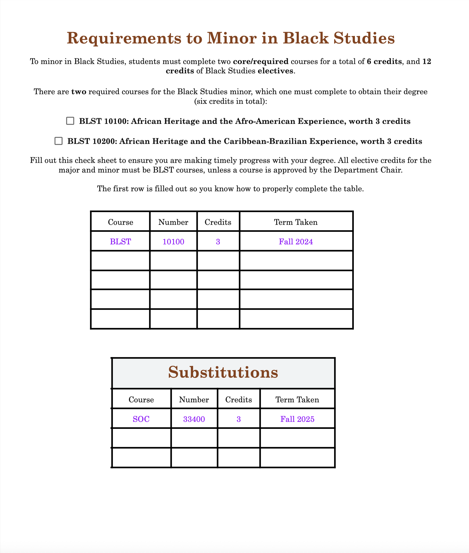 Requirements for Black Studies Minors