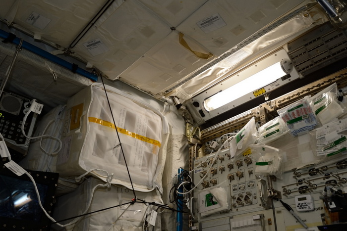 Fruit fly cultures in vented fly boxes aboard the ISS Fruit fly cultures in vented fly boxes aboard the ISS
