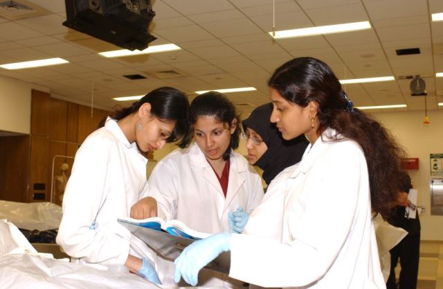 Physician Assistant Programs In Ny >> Our Mission & Vision | The City College of New York Physician Assistant Programs In Ny >> Our Mission & Vision | The City College of New York