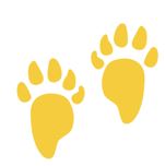 Benny Footprints