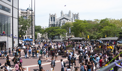 CCNY campus