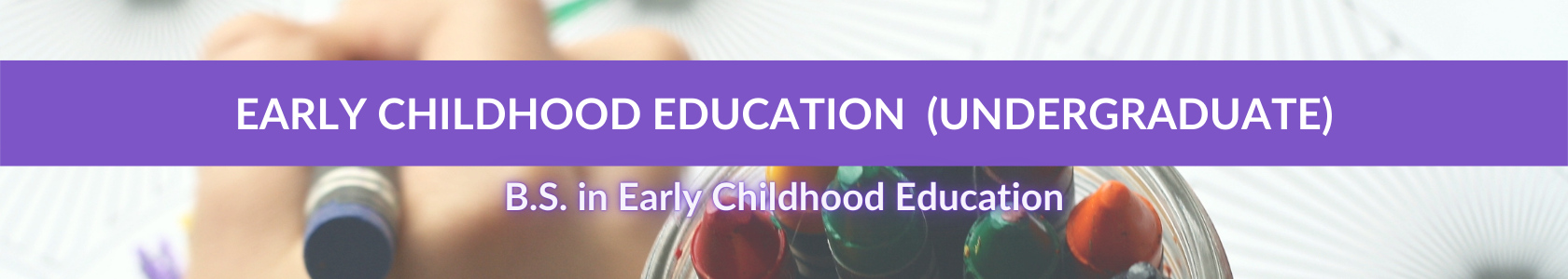 EARLY CHILDHOOD EDUCATION (UNDERGRADUATE)