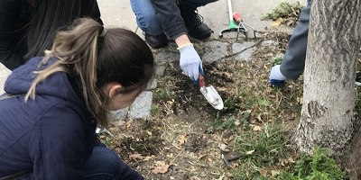 Science Learning & Public Engagement