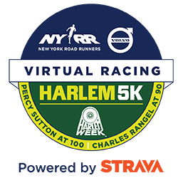 Virtual racing logo