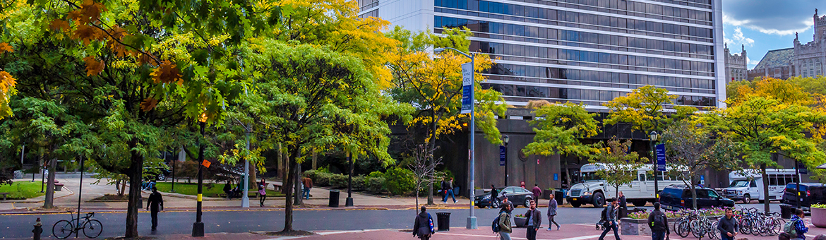 CCNY CAMPUS