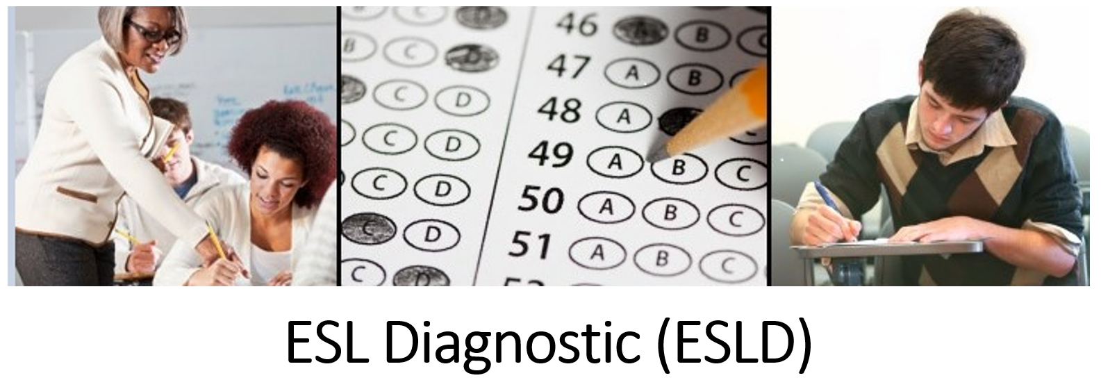 ESL Diagnostic (ESLD)