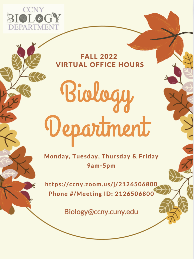 Virtual Hours