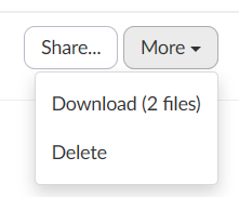 Share or Download and Delete