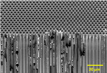 Macroporous Silicon Structure 