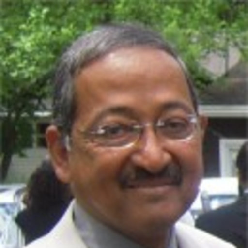 Professor Saadawi picture