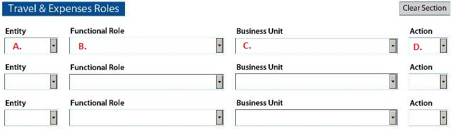 Travel and Expenses Roles