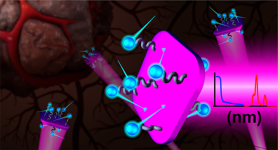 article nanoletters