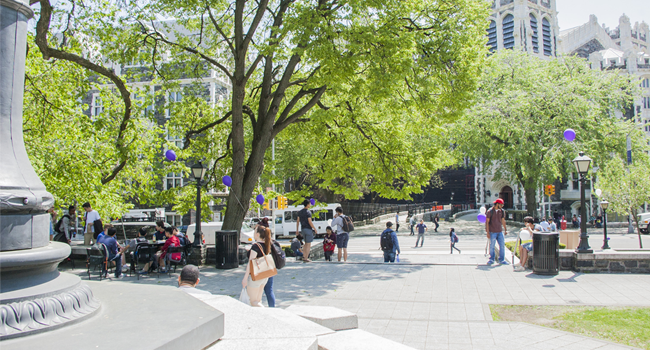 CCNY Campus