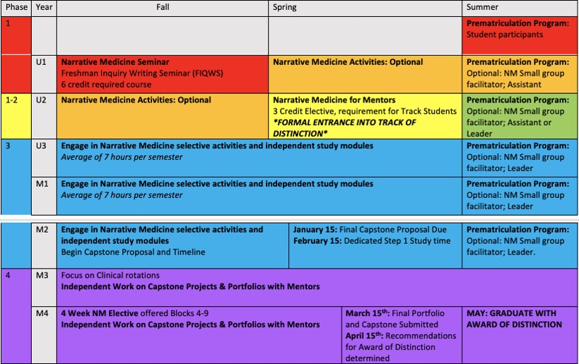 curricular overview