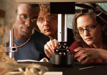 Students conducting research