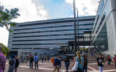 CCNY campus and students 