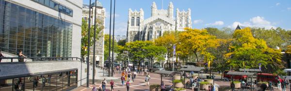 CCNY Campus in the fall