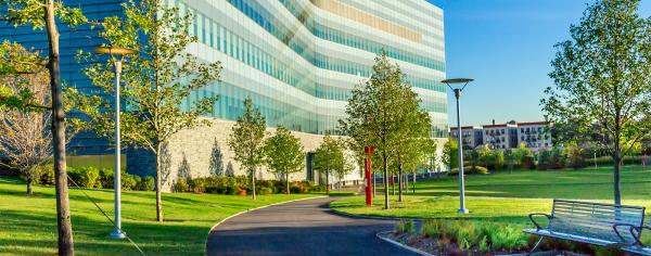 CCNY Center for Discovery and Innovation