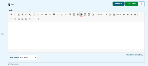 Text Editor with Entity Embed Item Selected