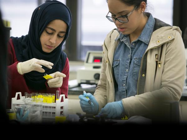 CCNY introduces accelerated Post Baccalaureate Pre-Medical Certificate program
